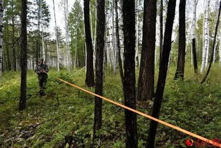 林业调查规划的探路人 工业发展中的绿色导航者