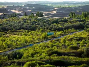 亿利荣获国家林业重点龙头企业称号，引领绿色工业发展