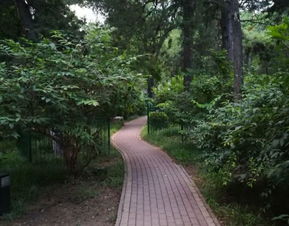 北京林业大学游览全攻略 门票、地址、路线与工业风景点探索