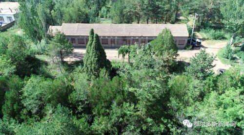 林业老兵黄达来的绿色情怀