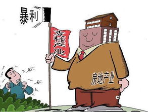 面对房产泡沫 房地产业的应对之道